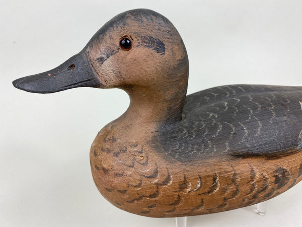 Dennis Edwards Blue Wing Teal Hen, All Original  (#5840)