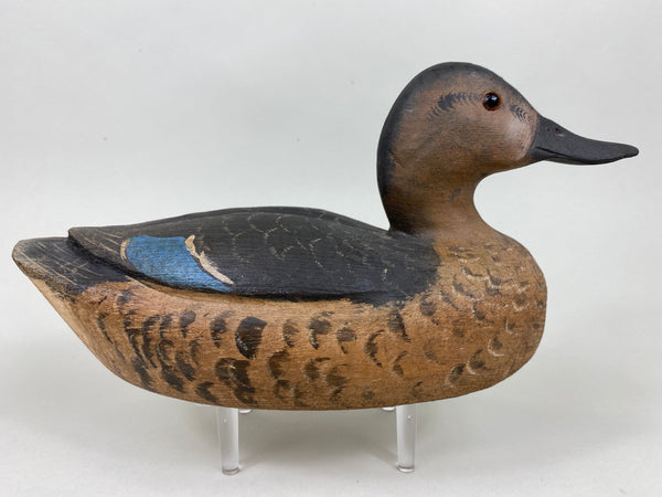 Dennis Edwards Blue Wing Teal Hen, All Original  (#5840)