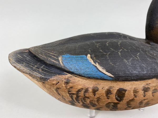 Dennis Edwards Blue Wing Teal Hen, All Original  (#5840)