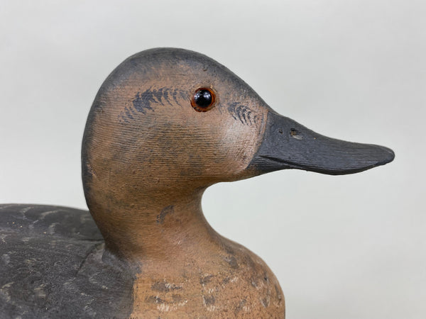 Dennis Edwards Blue Wing Teal Hen, All Original  (#5840)