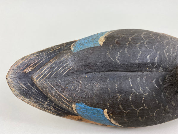 Dennis Edwards Blue Wing Teal Hen, All Original  (#5840)