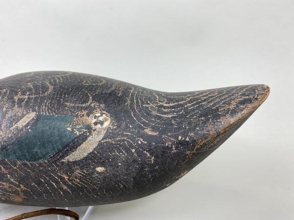 Hays Black Duck, All Original Paint (#5841)