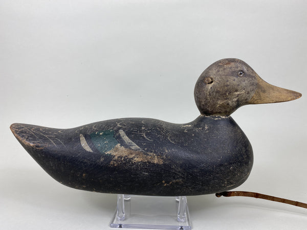 Hays Black Duck, All Original Paint (#5841)