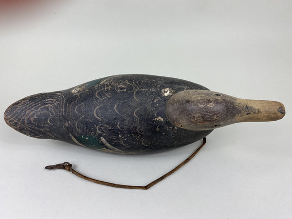 Hays Black Duck, All Original Paint (#5841)