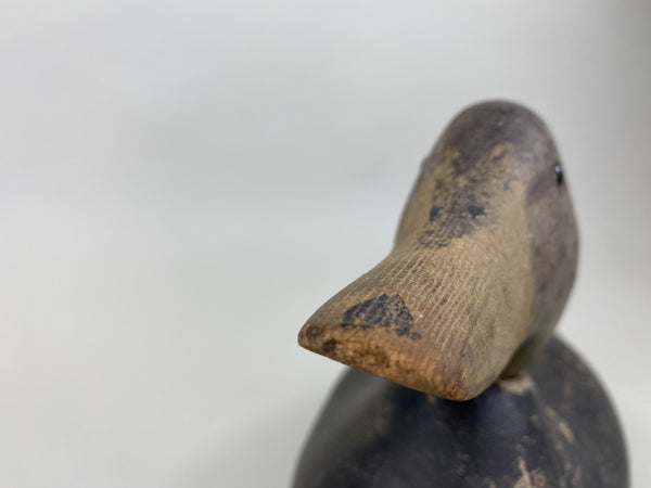 Hays Black Duck, All Original Paint (#5841)