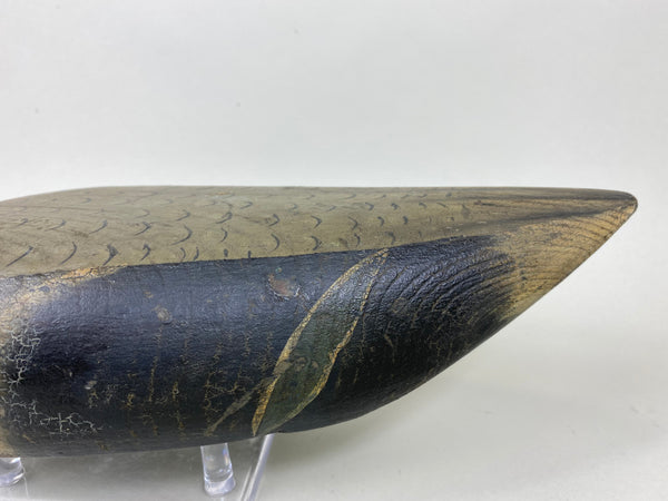 Unknown Midwest Mallard Drake, Circa 1930's (#5860)