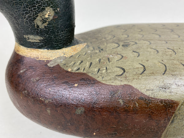 Unknown Midwest Mallard Drake, Circa 1930's (#5860)