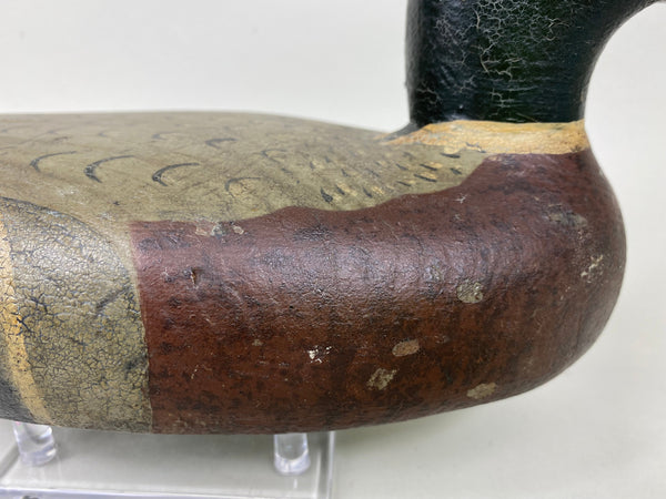 Unknown Midwest Mallard Drake, Circa 1930's (#5860)