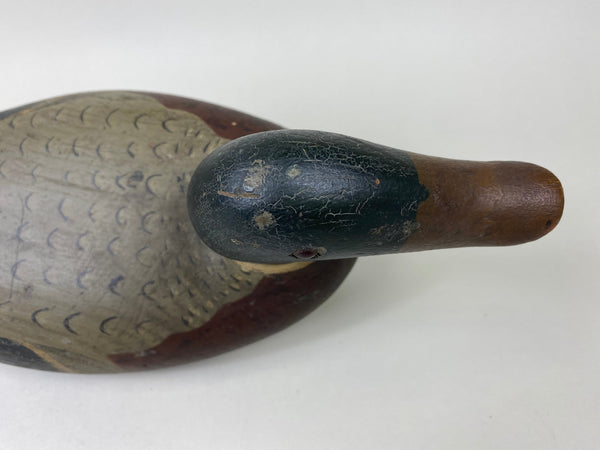 Unknown Midwest Mallard Drake, Circa 1930's (#5860)