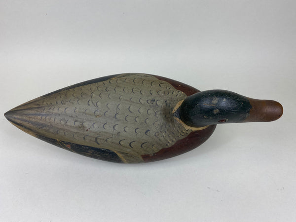 Unknown Midwest Mallard Drake, Circa 1930's (#5860)