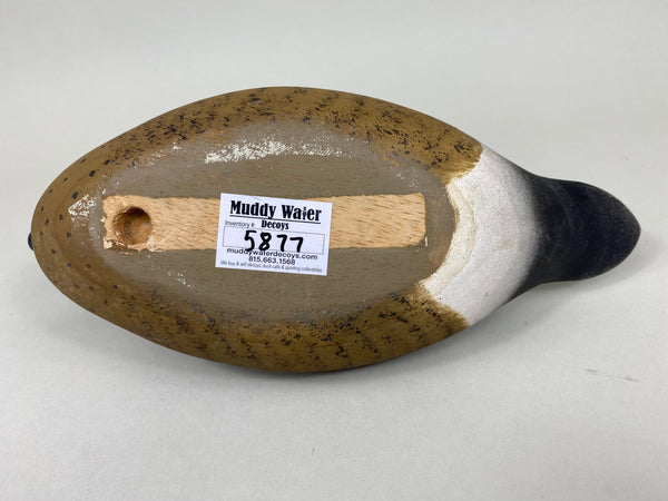 Wildfowler Blue Wing Teall, Original, Point Pleasant (#5877)