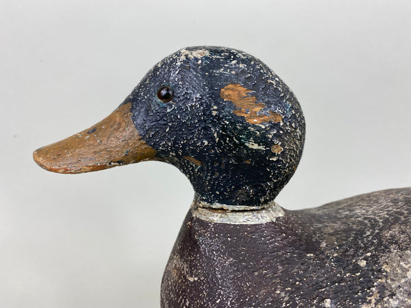 Evans Competition Grade Mallard Feather Finish (#5895)