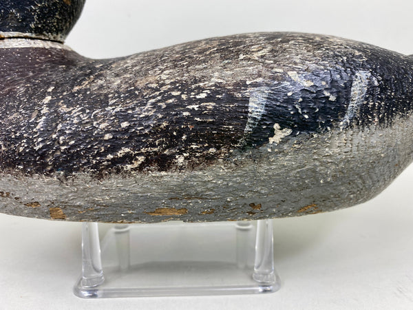 Evans Competition Grade Mallard Feather Finish (#5895)