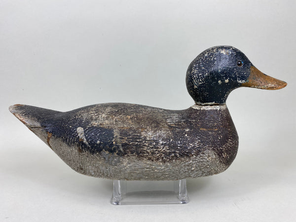 Evans Competition Grade Mallard Feather Finish (#5895)