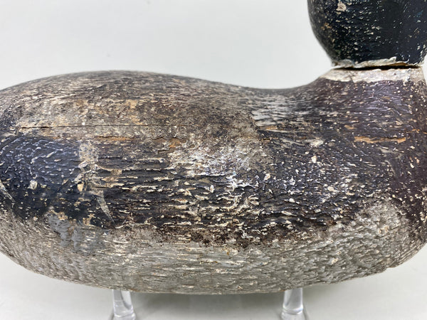 Evans Competition Grade Mallard Feather Finish (#5895)