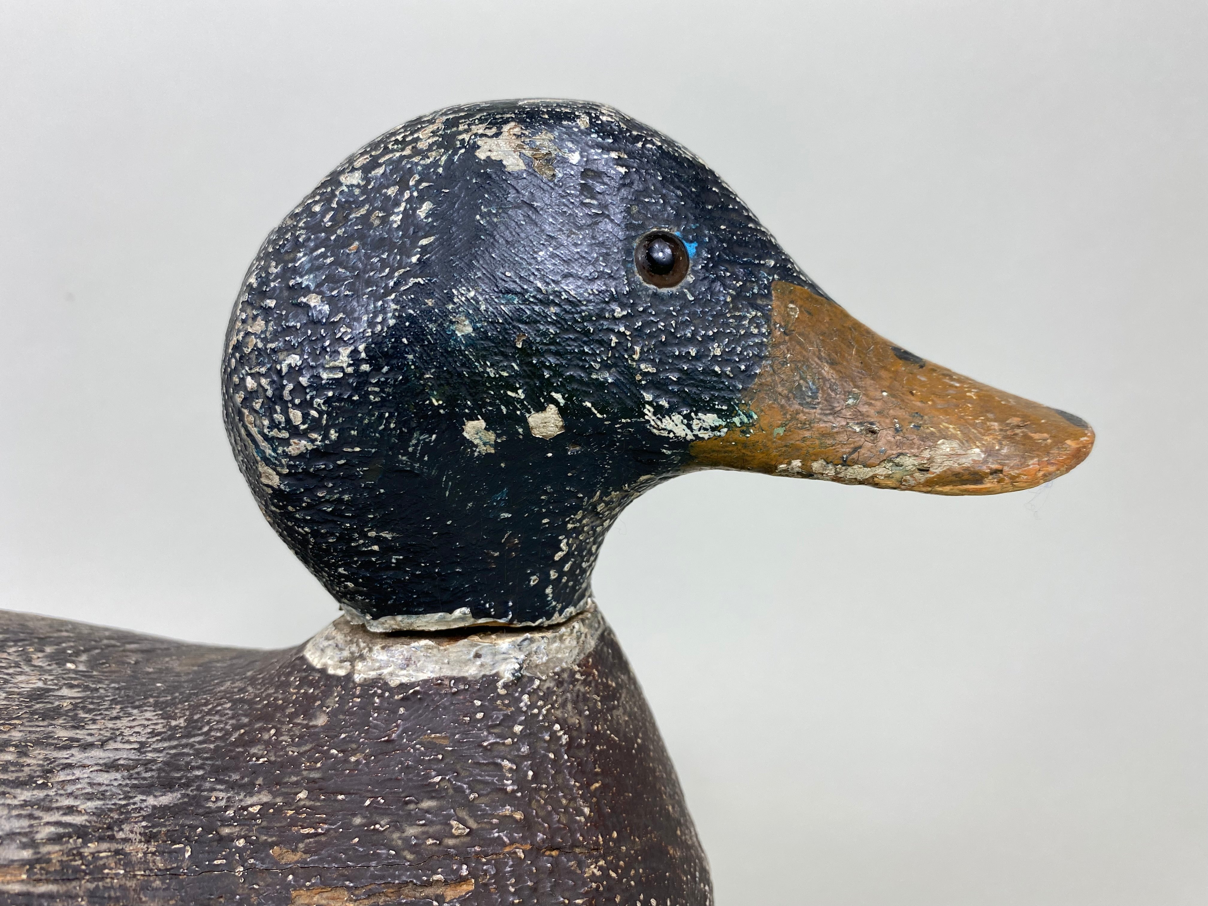 Evans Competition Grade Mallard Feather Finish (#5895) - Muddy Water Decoys