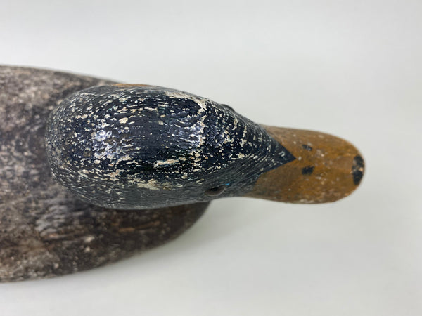 Evans Competition Grade Mallard Feather Finish (#5895)