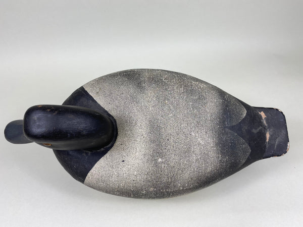 Roy Disher & Koepsel Oversized Blue Bill Drake (#5923)