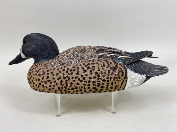 Bob Wiese Bluewing Teal (#5935)