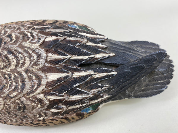Bob Wiese Bluewing Teal (#5935)
