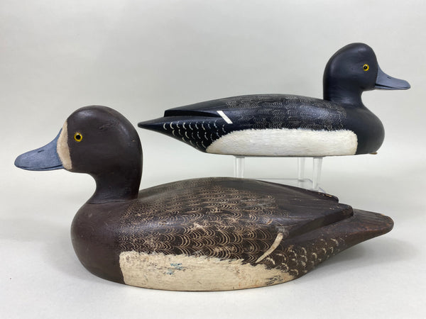 Reg Bloom Pair of Blue Bills, Ontario (#5936)