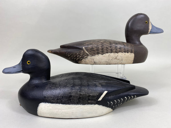 Reg Bloom Pair of Blue Bills, Ontario (#5936)