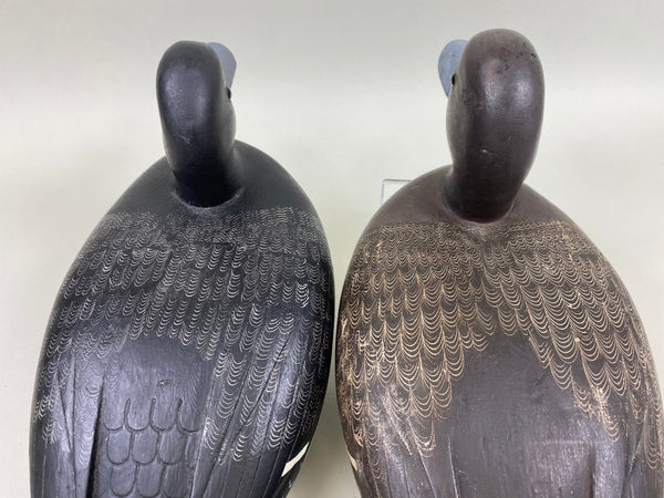 Reg Bloom Pair of Blue Bills, Ontario (#5936)