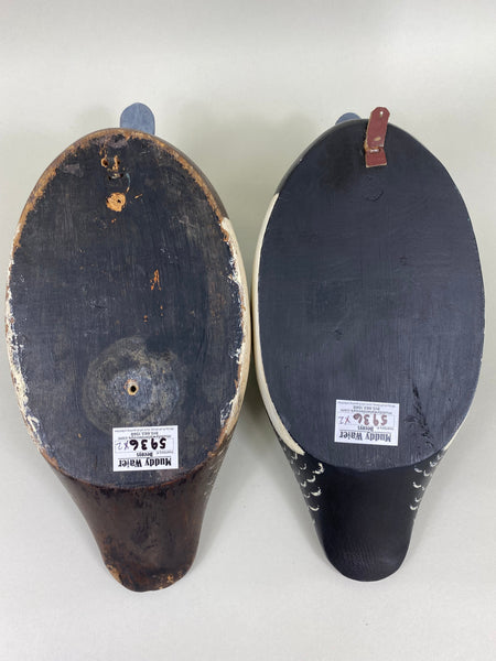 Reg Bloom Pair of Blue Bills, Ontario (#5936)