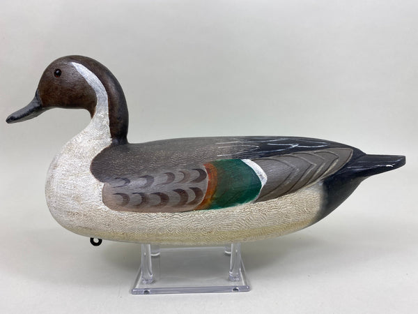 Perdew Style Pintail Drake (#5937)