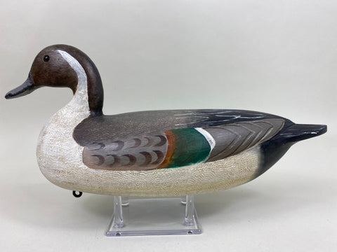 Perdew Style Pintail Drake (#5937)
