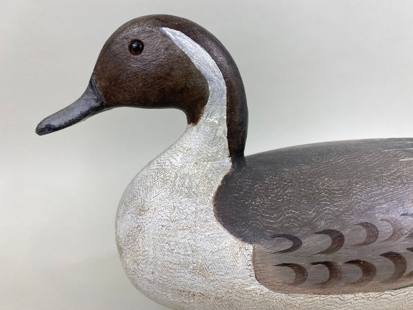 Perdew Style Pintail Drake (#5937)