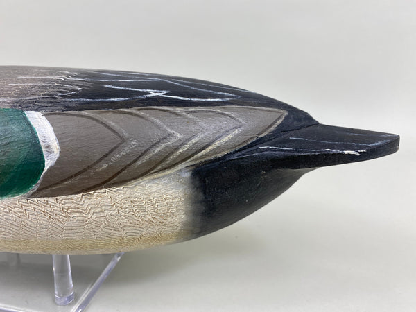Perdew Style Pintail Drake (#5937)