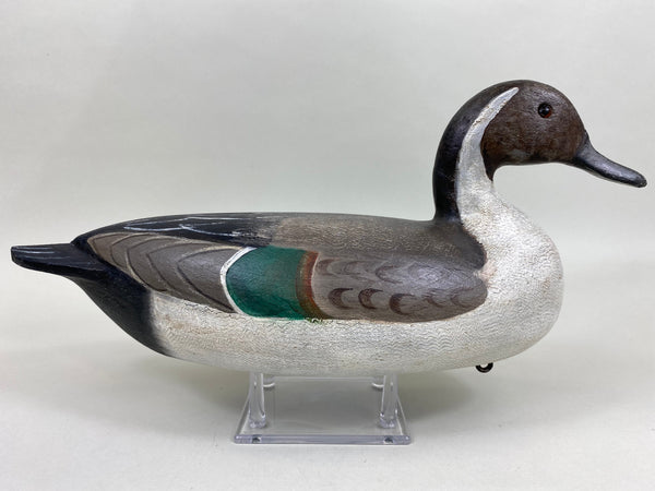 Perdew Style Pintail Drake (#5937)