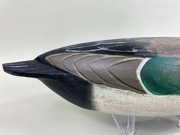 Perdew Style Pintail Drake (#5937)