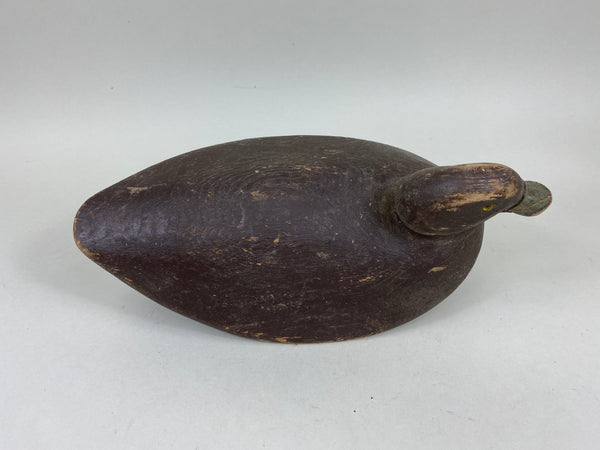 Doc Baumgardner Blue Bill (#5954)