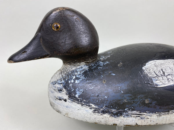 Buck Crawford Golden Eye Hen (#5998)