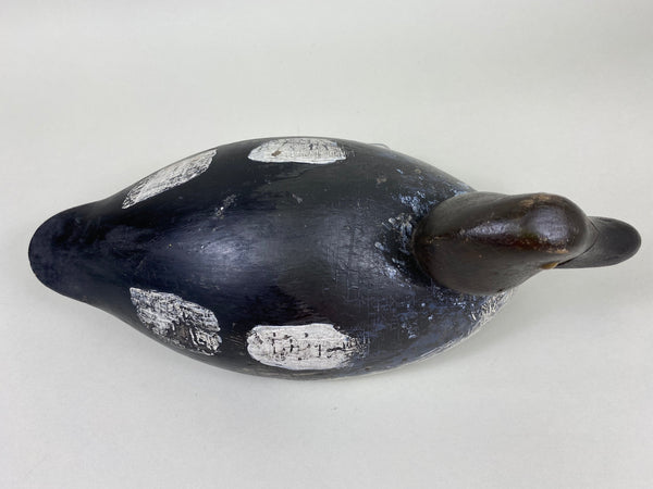 Buck Crawford Golden Eye Hen (#5998)