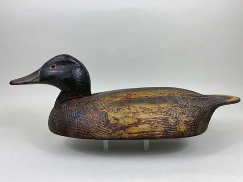 Carl Rankin Mallard Drake (#5999)