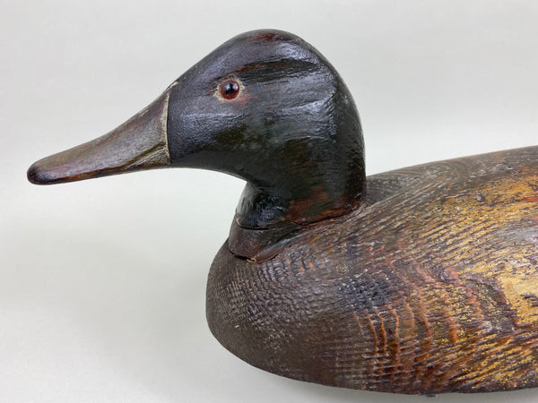 Carl Rankin Mallard Drake (#5999)