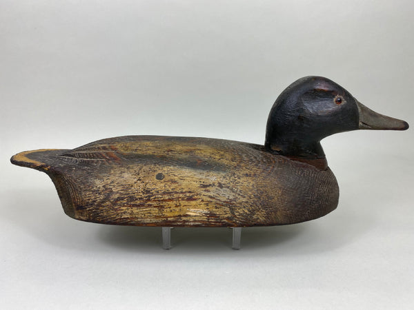 Carl Rankin Mallard Drake (#5999)