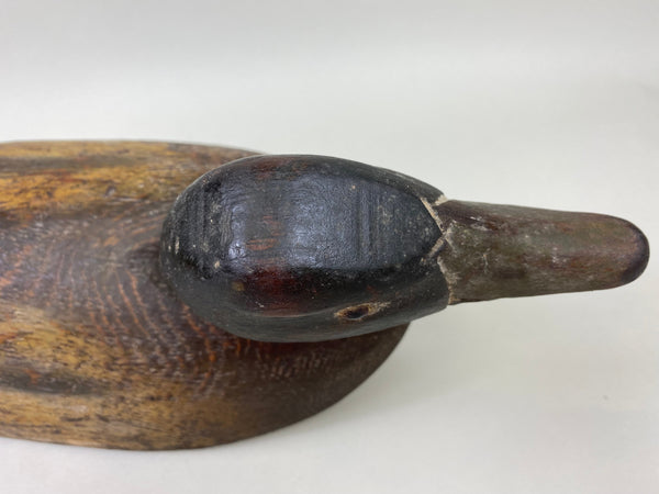 Carl Rankin Mallard Drake (#5999)