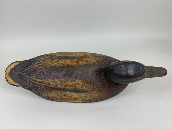 Carl Rankin Mallard Drake (#5999)