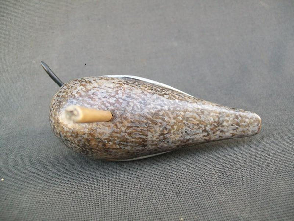 Yellow Legs Shorebird by Paul Lambrecht