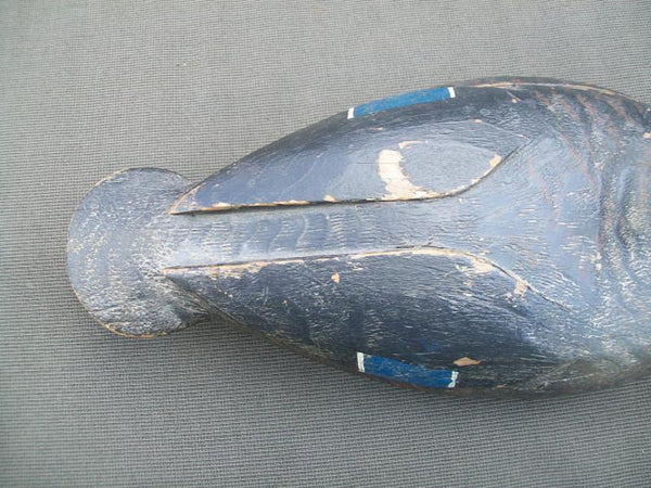 George Guyon Black Duck, Quebec