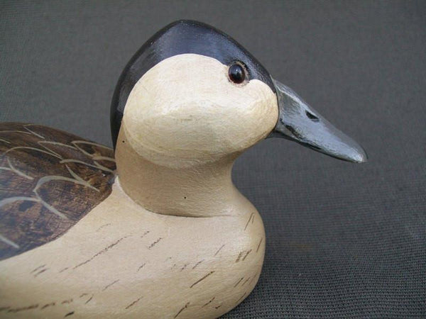 Ruddy Duck by Charles Moore