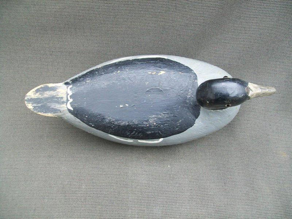 Charles Schoenheider, Sr. Coot Circa 1920's