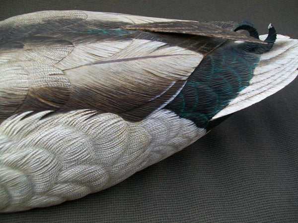 Ken Ingram Mallard Drake Raised Wings