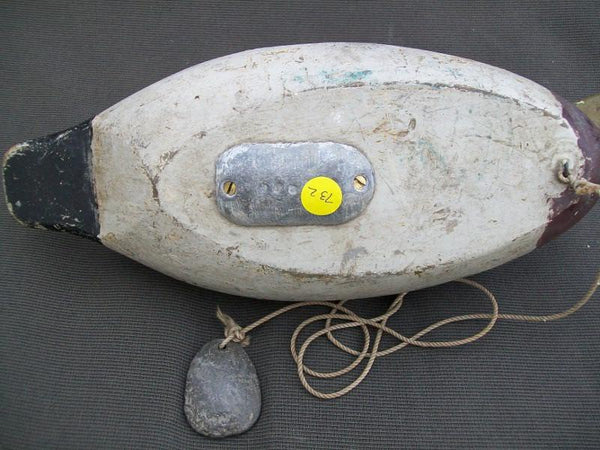 Gisler Weber Mallard Drake