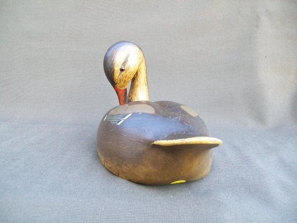 Ken Harris Mallard, Striking Head Position