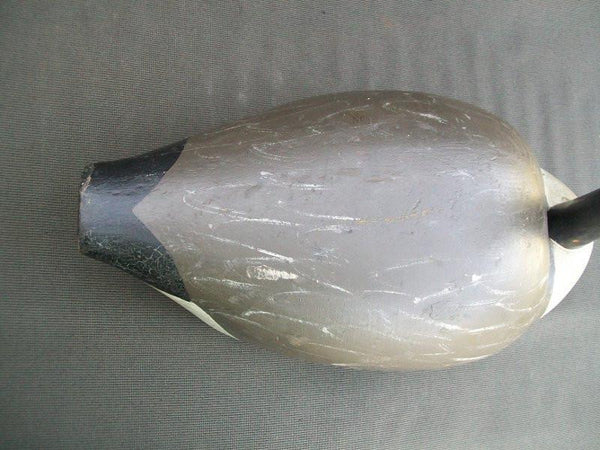 Canada Goose, Michigan.  (#1690)